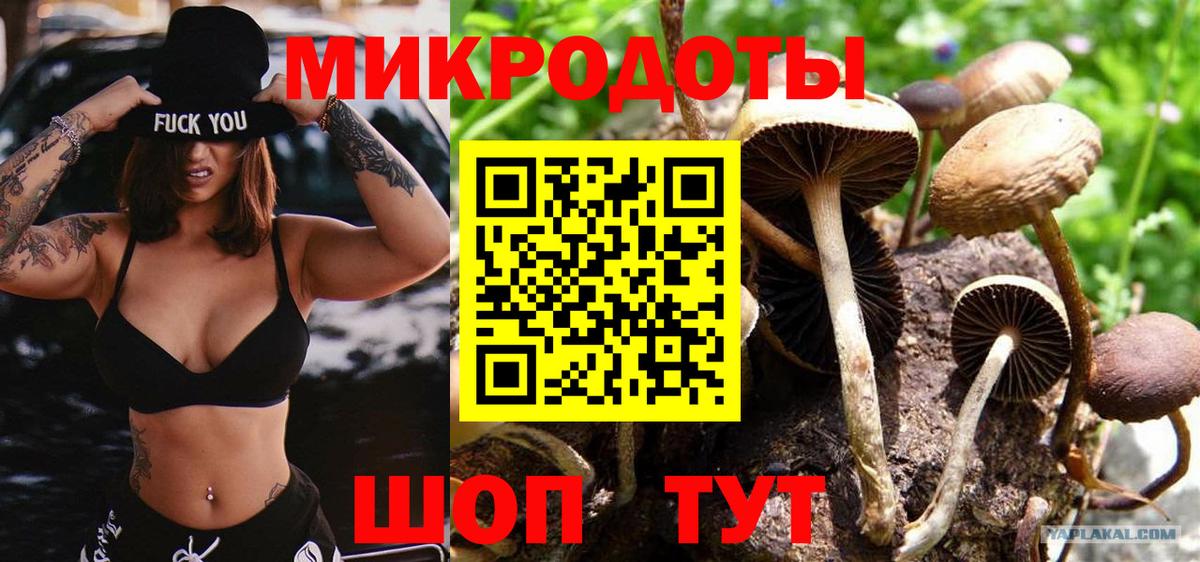 Петрозаводск  сколько стоит  Псилоцибиновые грибы MAGIC MUSHROOMS  Вход с VPN  Галлюциногенные грибы мухоморы 