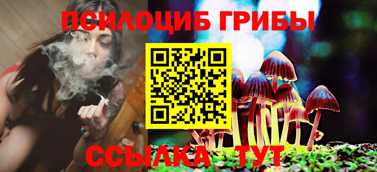 Псилоцибиновые грибы MAGIC MUSHROOMS Петрозаводск